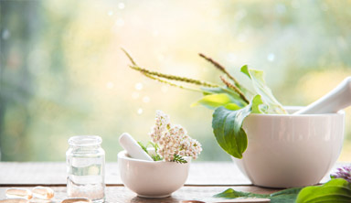 לימודי רפואה משלימה