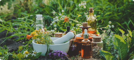 לימודי נטורופתיה