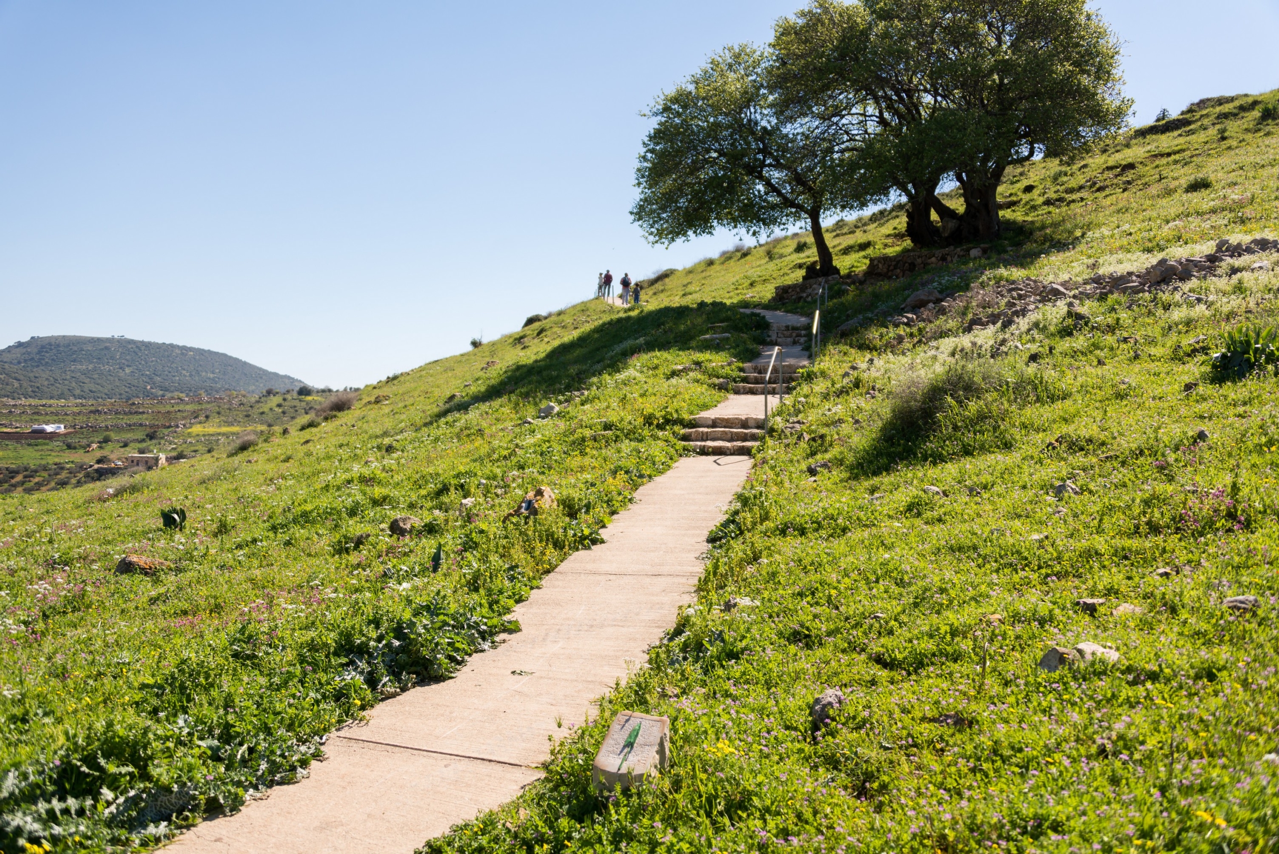מיודפת לנחל יודפת - לאוהבי לכת