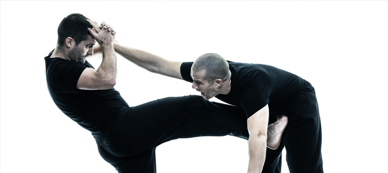 עוזר מדריך באומנויות לחימה