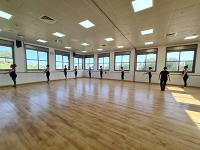 מדריכי מחול