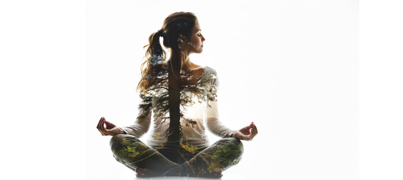 קורס קינזיוגה