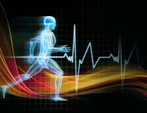 חינוך גופני - התחום היחידי המשלב את מדעי הספורט והתנועה עם מדעי הפסיכולוגיה 