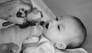 הכנסת צעצוע לפה – למה זה חשוב?
