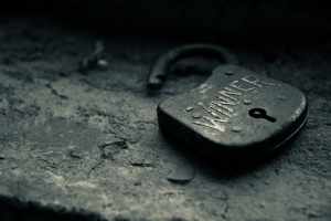 סיפור הצלחה