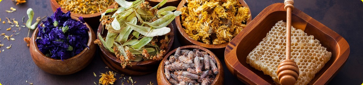 לימודי נטורופתיה- אופציה אלטרנטיבית