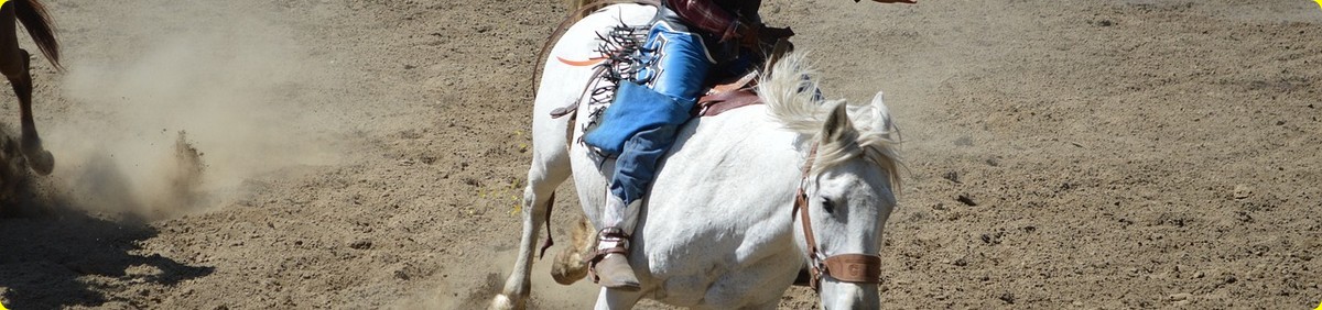 קורס מדריכי רכיבה על סוסים