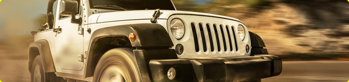 למה כדאי לעשות קורס של מדריכי טיולים מאורגנים דווקא במרכז האקדמי לוינסקי-וינגייט (קמפוס וינגייט)?