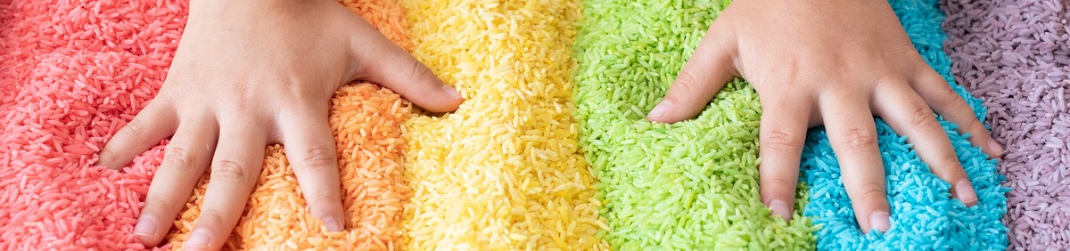 קורס להכשרת מאבחנים ומטפלים בתפקודי למידה ויסות חושי ומוטוריקה גסה ועדינה בשיטת ד"ר אורלי יזדי-עוגב