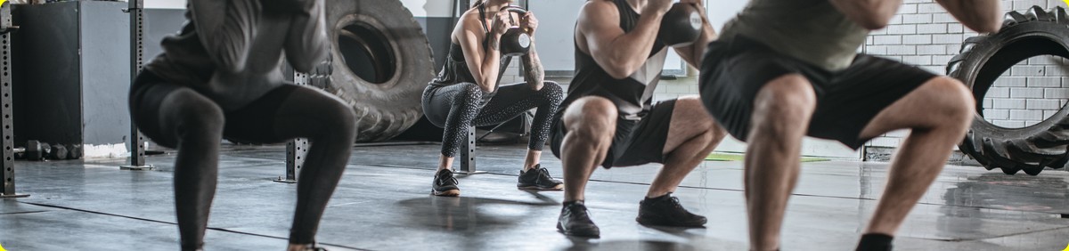 ברכיים – שימור, שיפור ושיקום