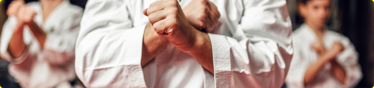 אמנויות לחימה טיפוליות