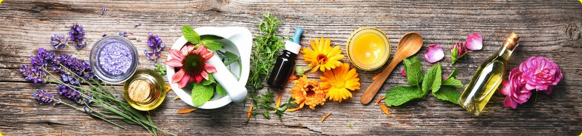 לימודי רפואה משלימה