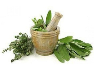 מה זה נטורופתיה? 