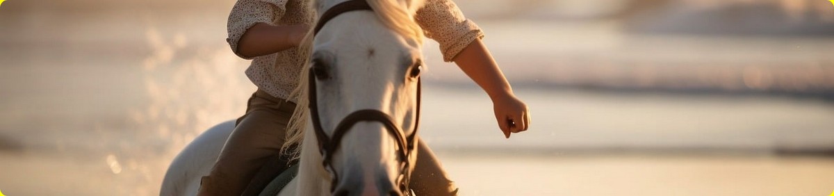 מה אנו אמורים ללמד בהדרכת רכיבה?