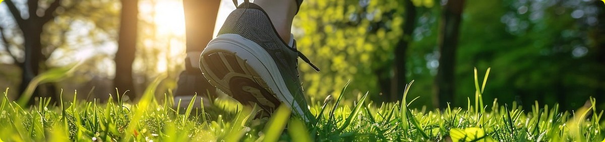 קורס לתכנית רג"ב בשיתוף Google