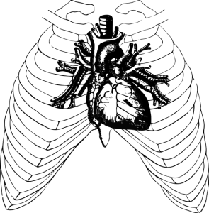 הלינג סיני פרח הלוטוס