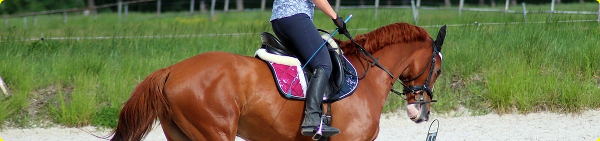 רכיבה טיפולית על סוסים. אז, היום, ולאן