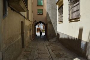 לימודי תיירות