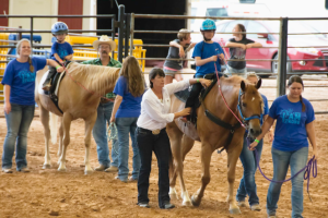 רכיבה טיפולית על סוסים 