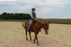 קורס מדריכי רכיבה על סוסים 