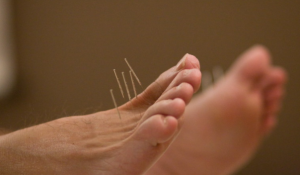 נפלאות הסו-ג'וק 