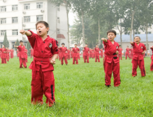 אמנויות לחימה טיפוליות