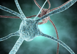 מודל התקשורת של ה-NLP 