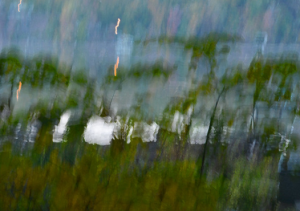 הכשרת מטפלים בתנועה ובאמנויות 