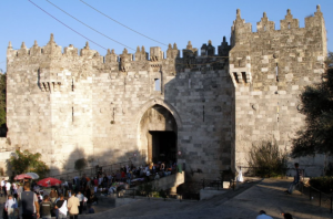 קורס מורי דרך 