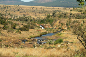 לימודי פנאי אתגרי