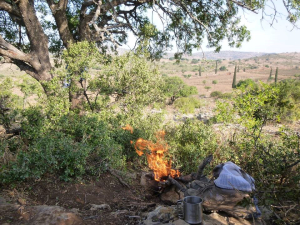 חוויית סולו במסע – להיות לבד בשטח...