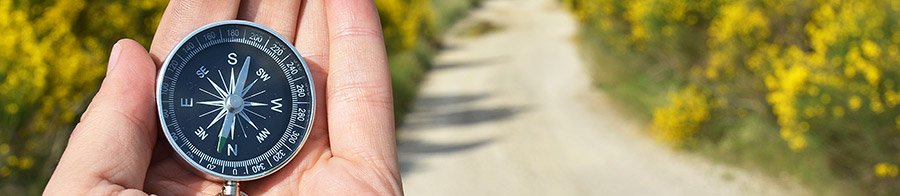 איך לבחור מורה דרך מתאים