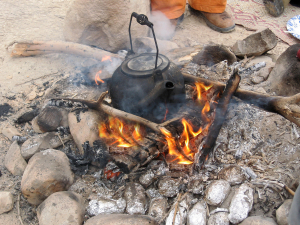 להכיר את ישראל דרך הרגליים