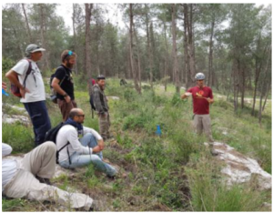 סוללים את העתיד

