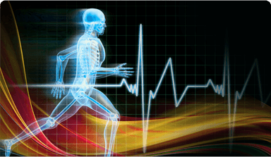 תואר ראשון בחינוך גופני