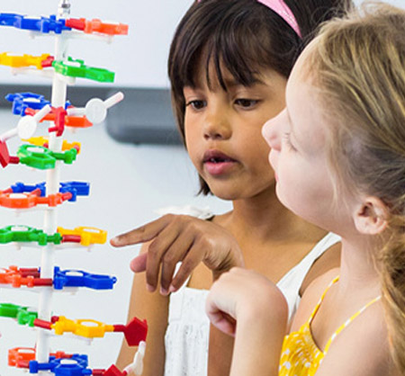 חוקרים הגיל הרך