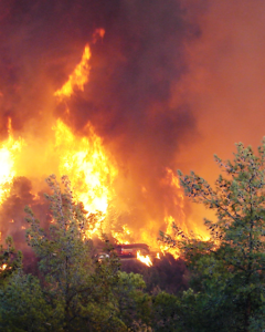 ימי האש והאימה בכרמל