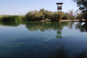 איך שביל נולד