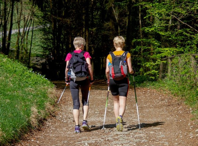 הליכה נורדית 