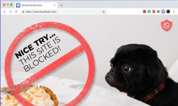 nice try this site is blocked