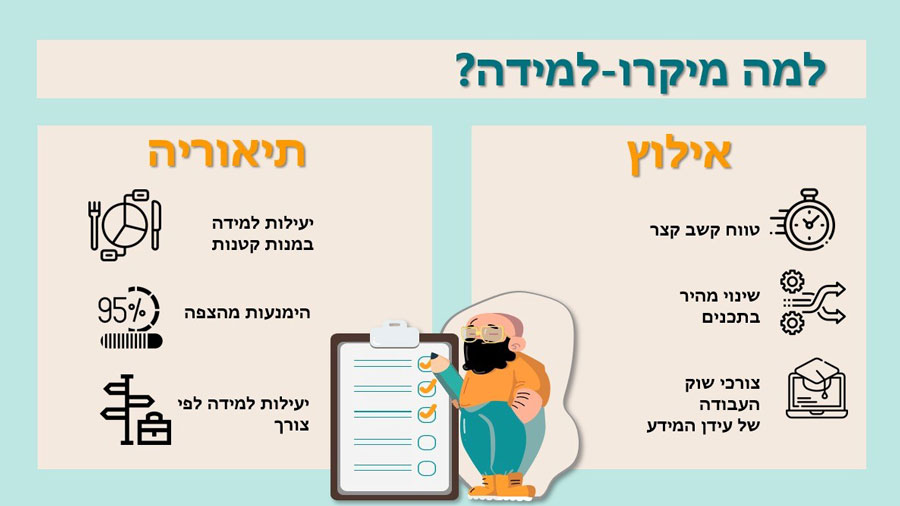 למה מיקרו-למידה