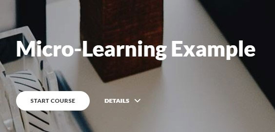 micro-learning example