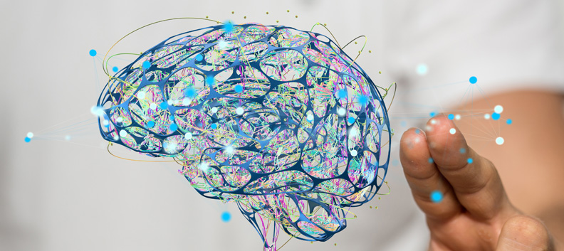 נוירו-מוטוריקה: הגוף ככלי לחיווט המוח