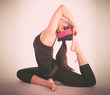 מודל גמיש (Flex)