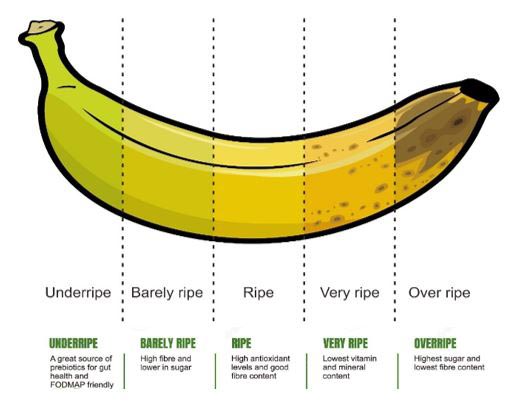 alt="אינפוגרפיקה שמתארת את הערכים התזונתיים של בננה בשלבי הבשלות השונים"