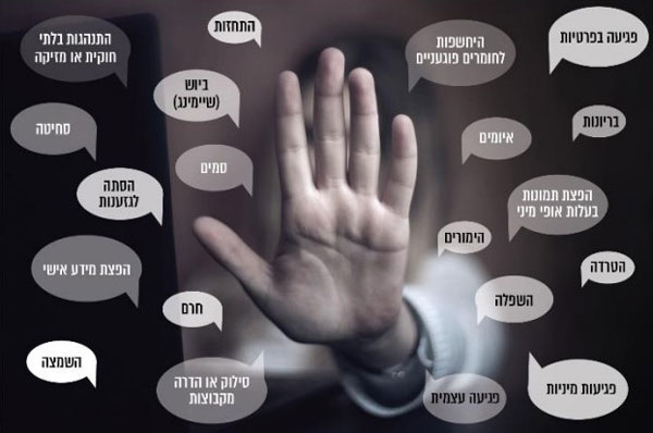 סוגי פגיעות הנפוצות ברשת