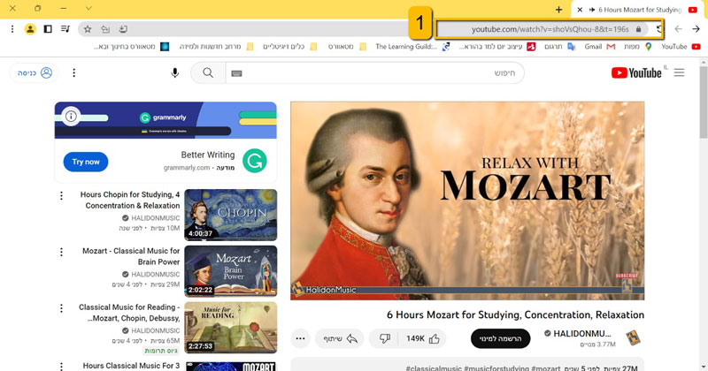 נעתיק את כתובת ה-URL של הסרטון