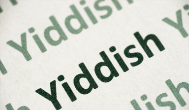 יחידות-הוראה-היידיש