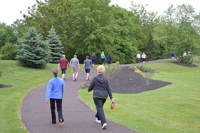 הליכה לשיפור הכושר והבריאות