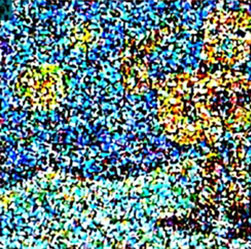 מודל הבינה "זוכר" תמונות ומושגים שמתייחסים למילים שבפרומפט ובהתאם לכך מתחיל "לנקות רעש" וליצור את התמונה